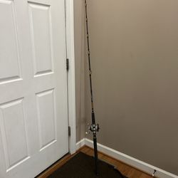 Multiple Single Reel And Fishing Rods With Reels 