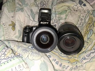 Sony SLT-A55V