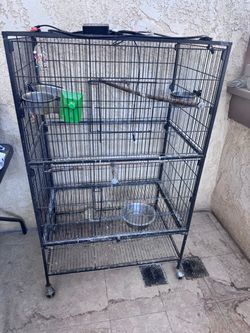 Bird cage with water mister and feeding bowls