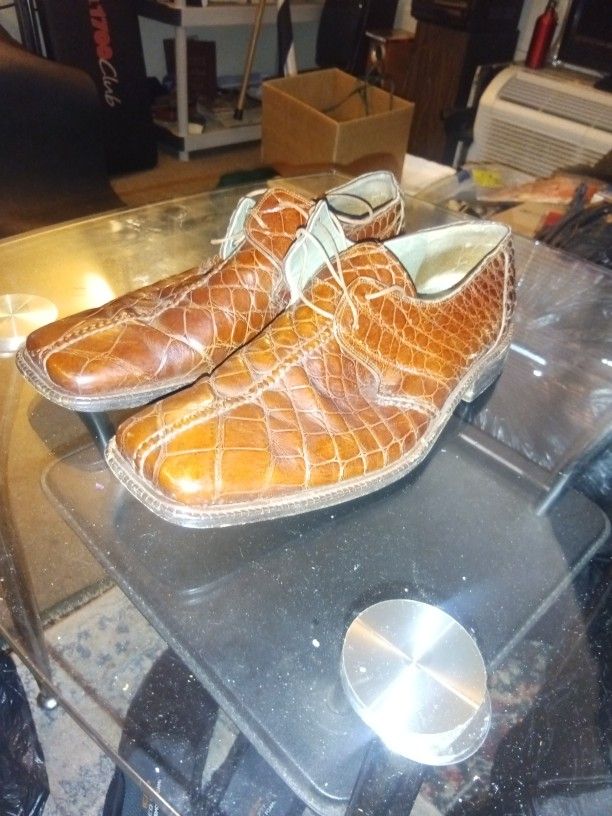 Mauri Gators