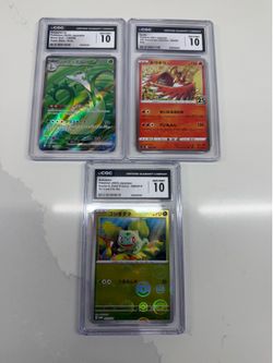 Pokémon Slabs | Pokemon