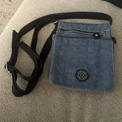 Kipling Bag with gorilla charm