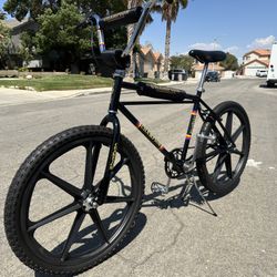 Old BMX 24" Cruiser Champion Skyway Tuff Wheels Graphite 