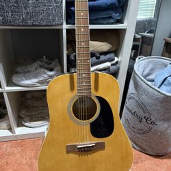 Rogue Guitar 