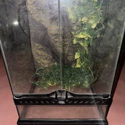 Frog Cage