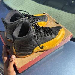 Jordan 12 