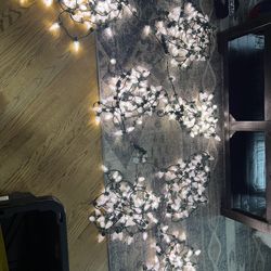 Christmas Lights
