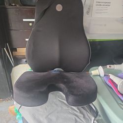 Car Seat Dount And Lumbar Support Pillow for Office Chair Back Support