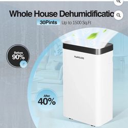 Protable Dehumidifier for Basement and Home with Drain Hose