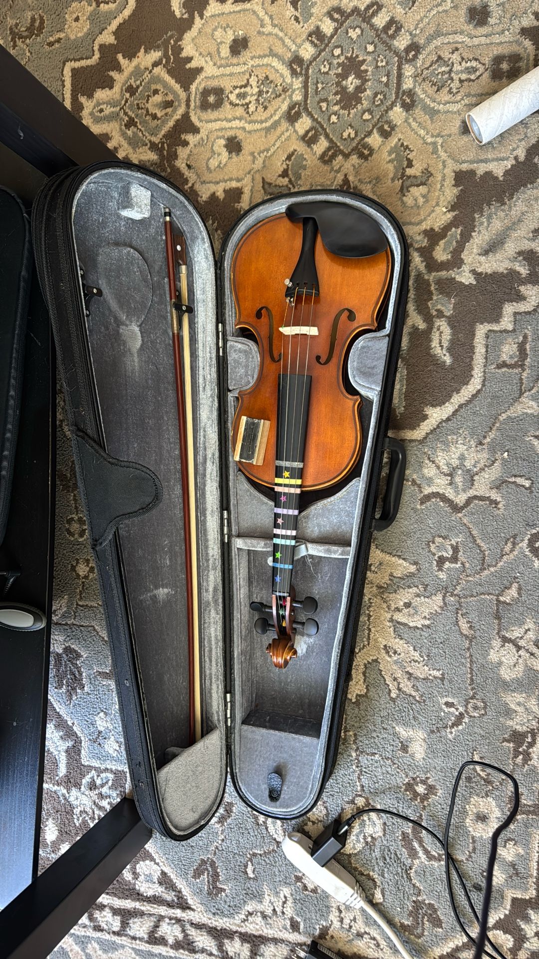 Violin