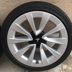 Tesla Sport 19” wheel 