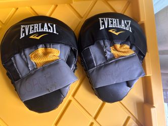 Boxing mitts