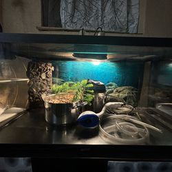 60 gallon reptile/ turtle tank with some accessories