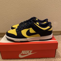 Nike Dunk Michigan 