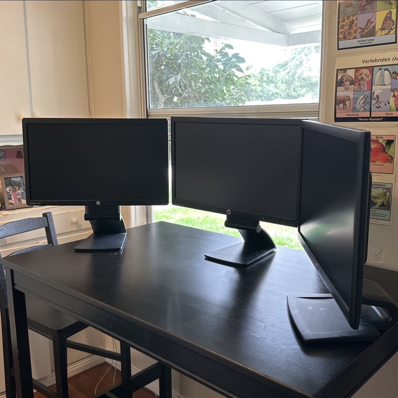 3 HP Computer Monitors 