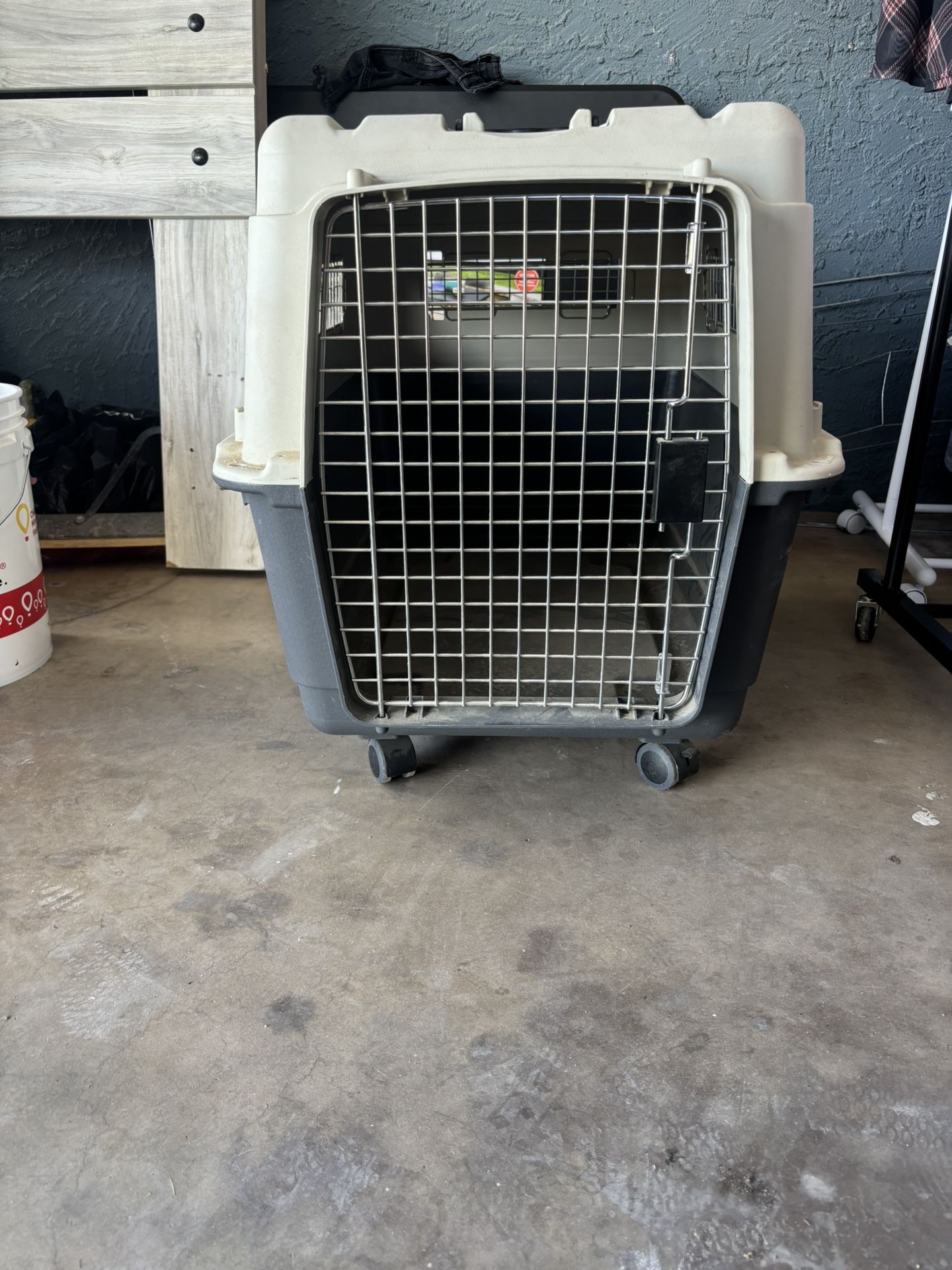 large dog crate