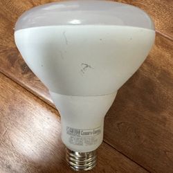 BR30 LED Light Bulbs