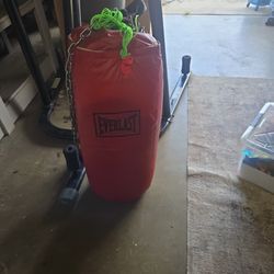 Everlasting Boxing Bag