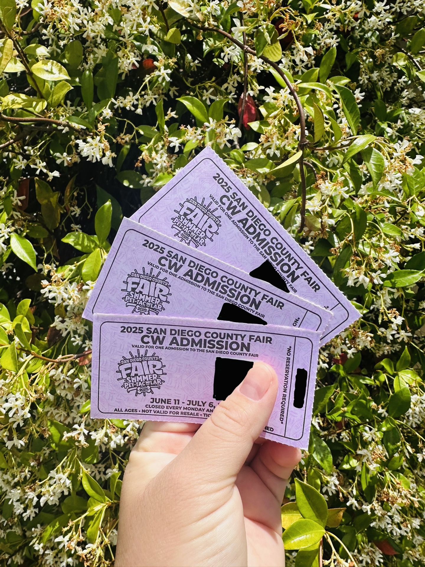 Del Mar Fair Tickets