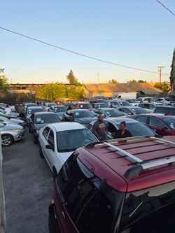 Public auctions