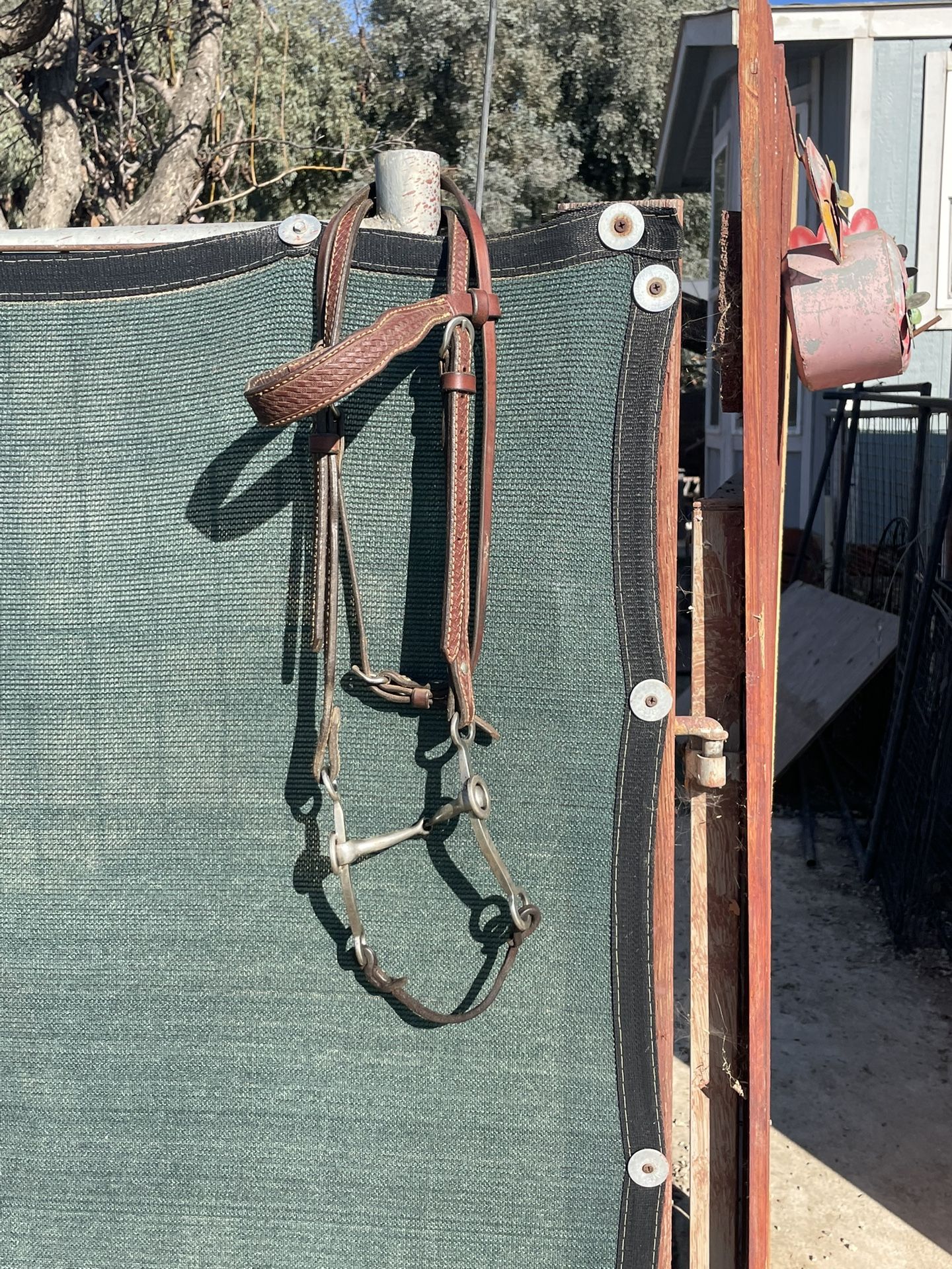 Sliester Bit And Headstall