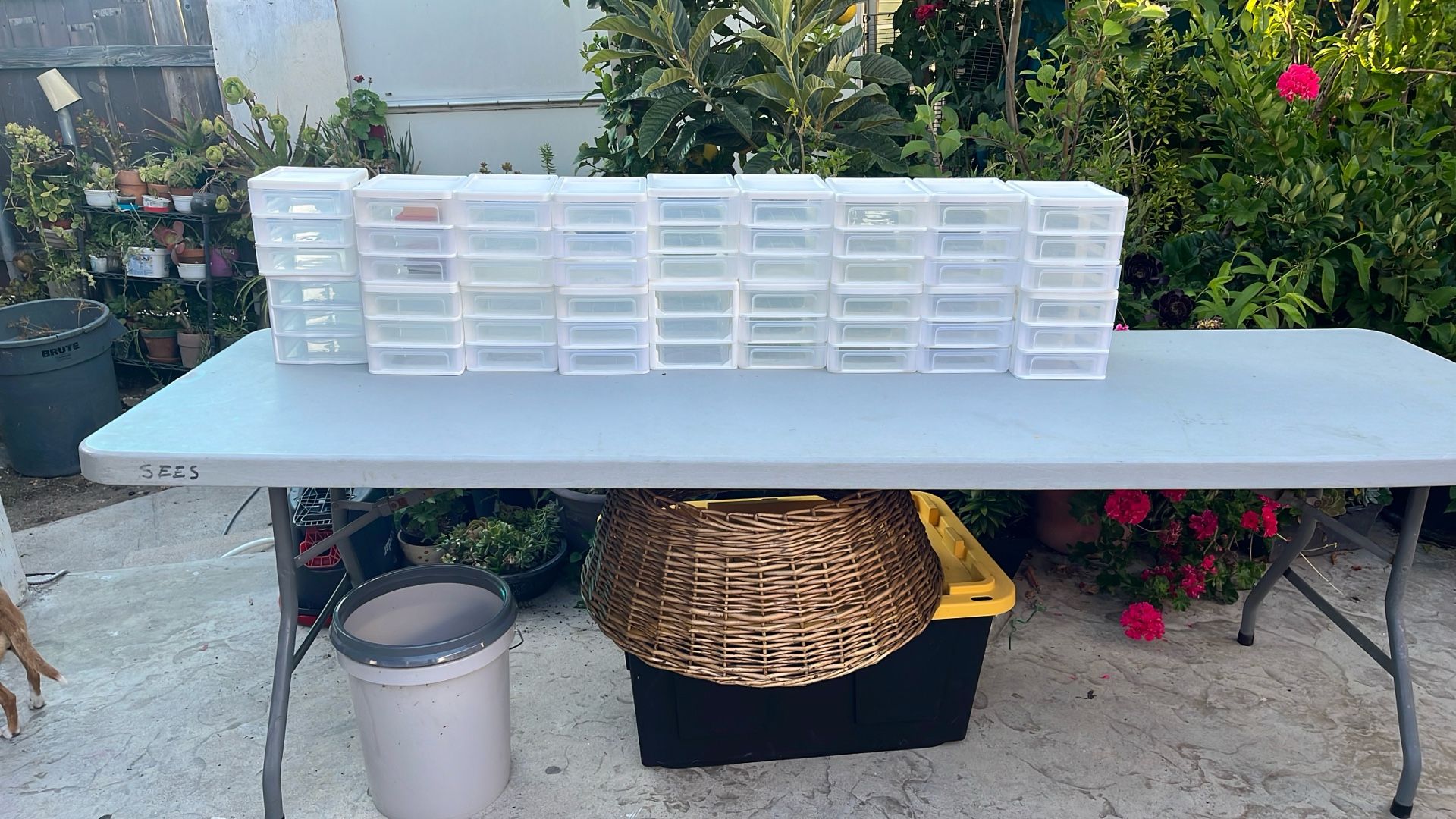 18 Cajitas Con 3 Cajon sitos Para Organizar $3 Cada Uno