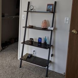 Ladder Shelf
