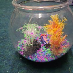 Fish Bowl Set