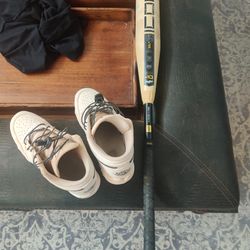 Rawlings | 2025 | ICON Baseball Bat | USA | 28in | -10  | 2 5/8' Barrel | 2 Pc. Composite