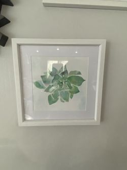 Framed succulent print