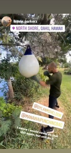 Punching Bag