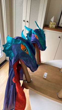 Kids dragon costume
