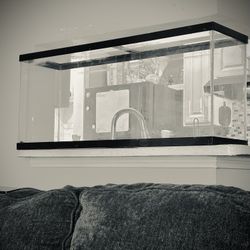 40 Gallon Tank