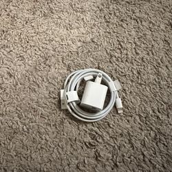 iPhone Charging Cords and Cube 