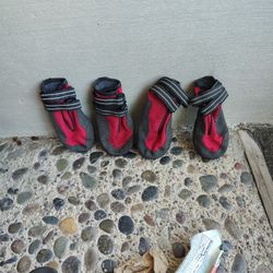 Dog Shoes