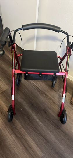 Adult walking chair
