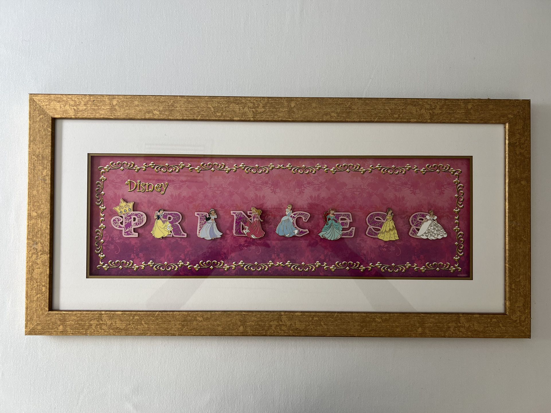 Disney Pin Collector: Limited Edition Princess frame Set - Princess Letters