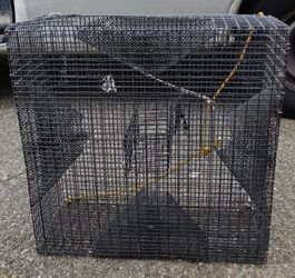 Shrimp Cage