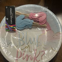 Paper Plates Blue Or Pink 