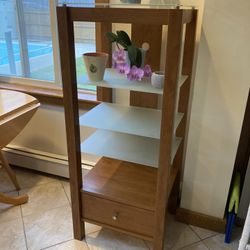 Sauder Wood And Glass Shelving Unit