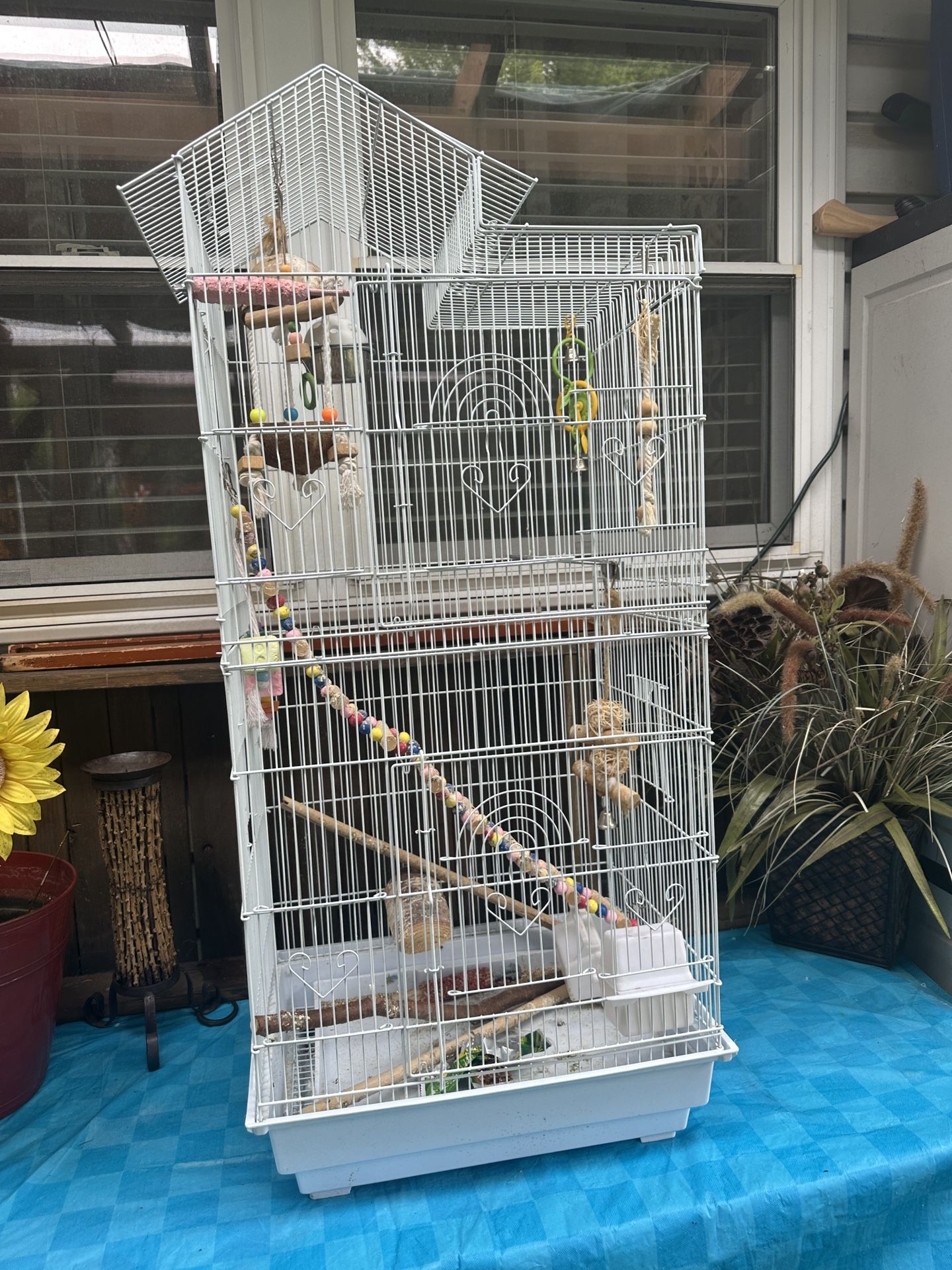 Bird Cage
