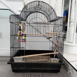 bird cage 