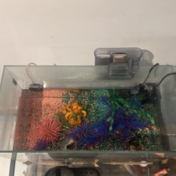 20 gallon fish tank With Everything You Need Included 