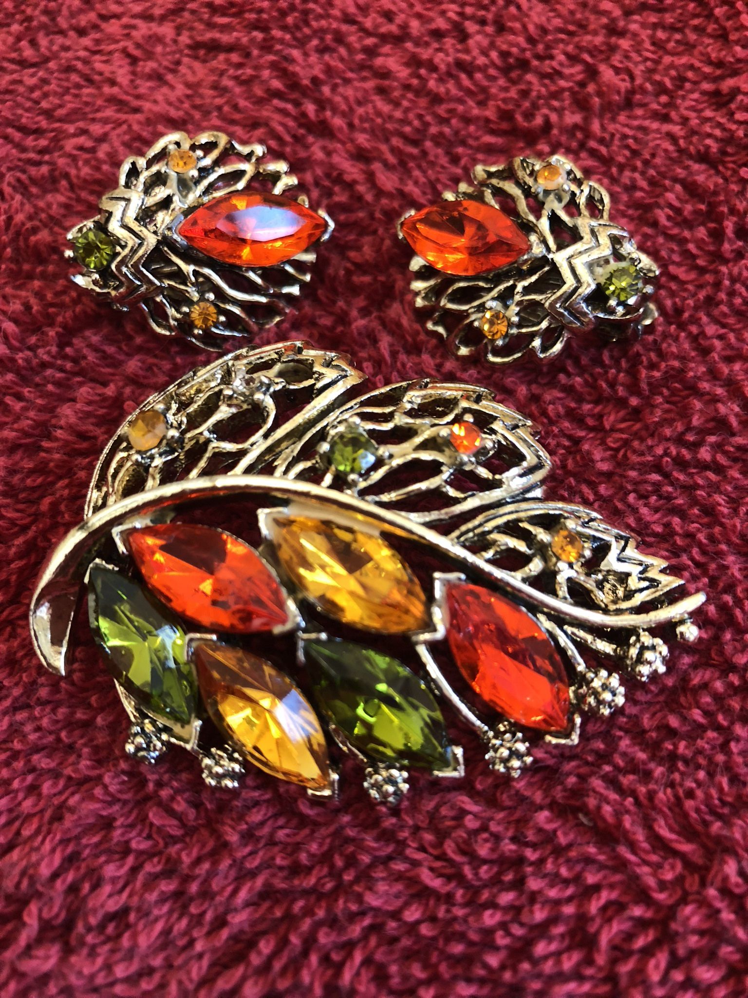 Beautiful Fall Colors. Brooch And Earring Set