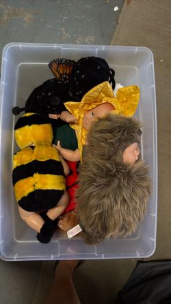 Collector dolls