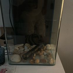 Marine life 5 Gallon Tank 