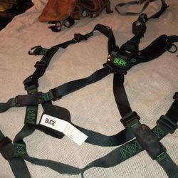Buckingham (TrueFit H-Style With Dielectric D-Ring) Model U68M9EQ3  And Toolbelt