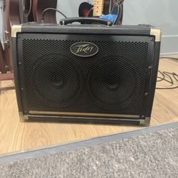 Peavy Two Channel Amp