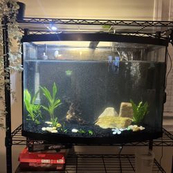45 gal tank