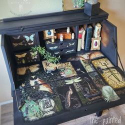 Dark academia entomology refinished small secretary desk